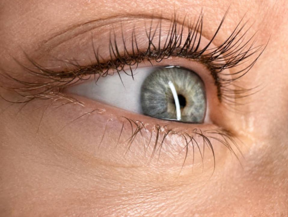 Wimpernkranzverdichtung Permanent Makeup Leibnitz